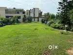 Plot for sale