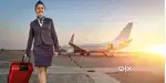 Job in indigo airlines urgent hiring apply now
