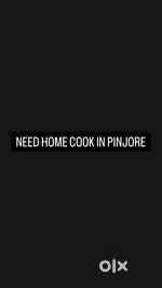 Need home cook in pinjore