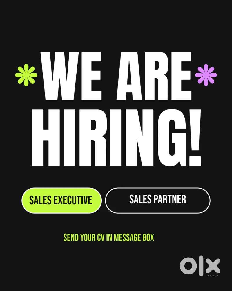 Sales Executive