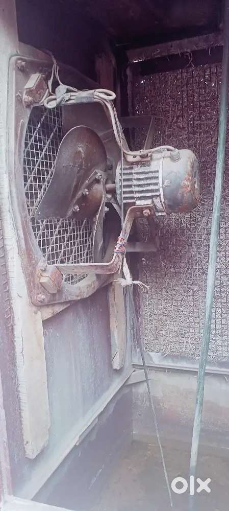 Kalyanpur gowagarden  Gardeniya school radhapuram road