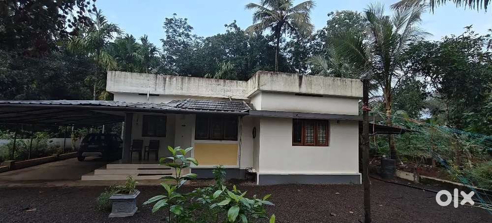 3 BHK Independent House & 15 Cent for Sale – Nature Friendly Location