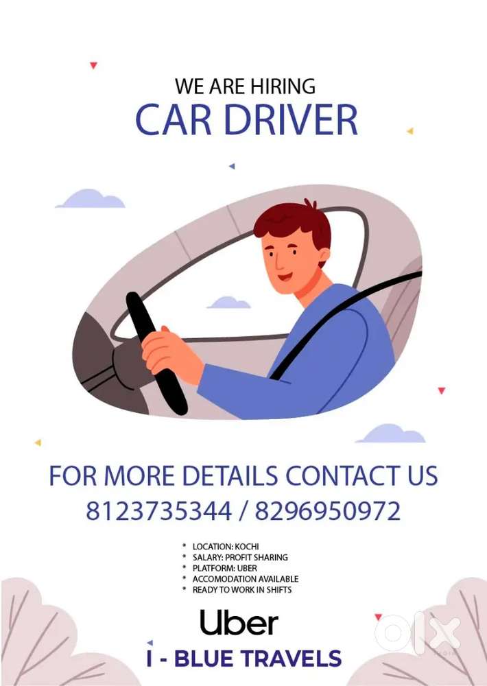 Taxi car driver