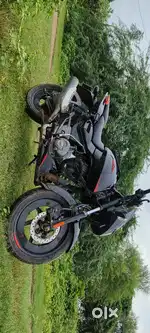 Pulsar 125