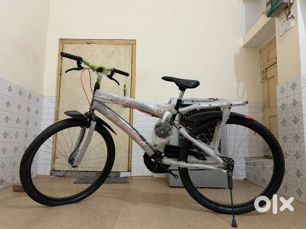 Brand new cycle 2025