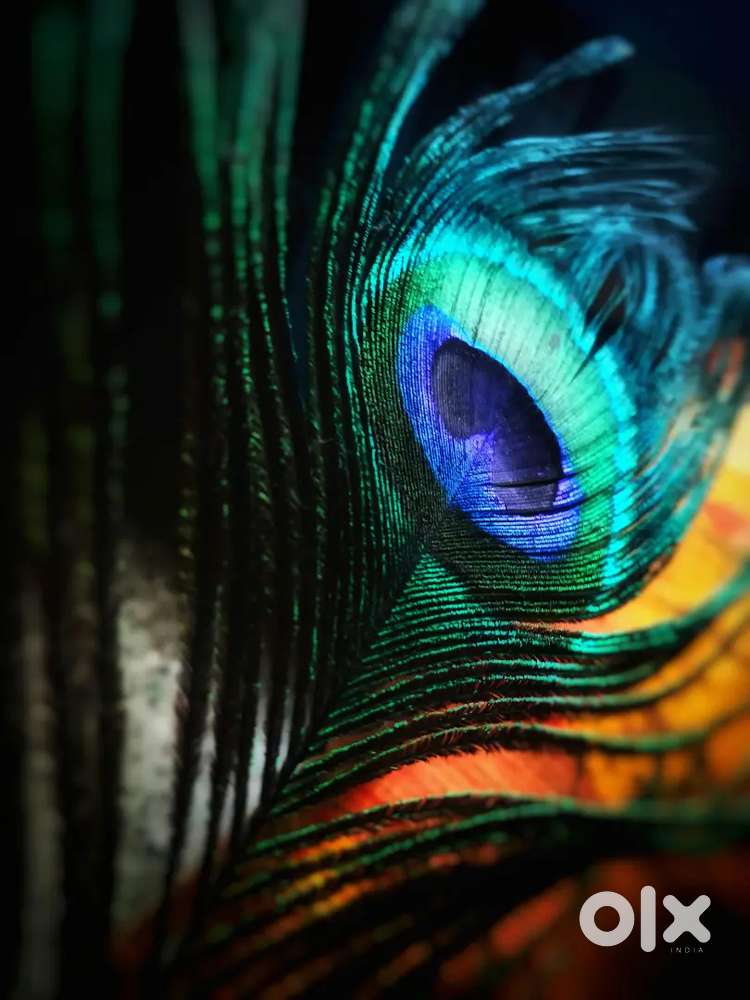 Room needed for urgent