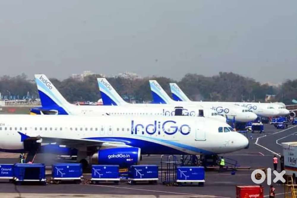 Airport Ground Staff, Cabin Crew Jobs in IndiGo Airlines  Apply Fast.