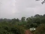 കറുകച്ചാൽ 5 km നെടുംകുന്നത് 290സെന്റ് (2.9acres )വിൽപ്പനയ്ക്ക്