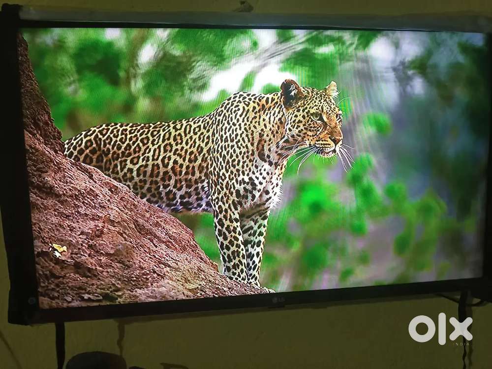 Lg smart tv 2025 version only 4months tv