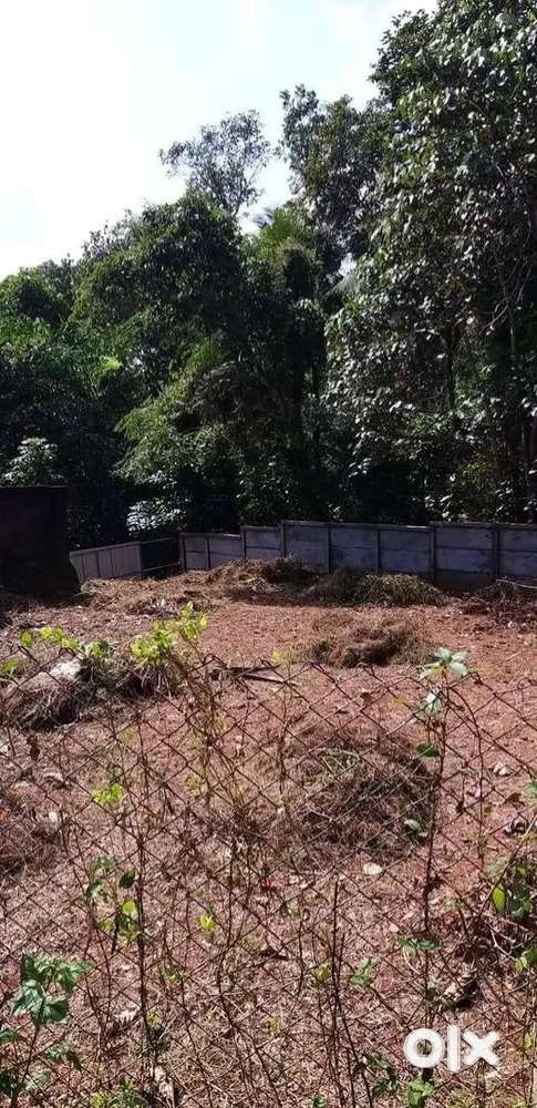 Plot for sale in Mavelikara ( Price negotiable)