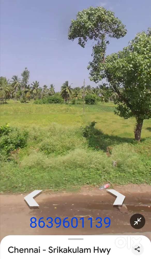 Agriculture land 20 cents