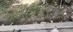 Plot mahimadham colony mandideep