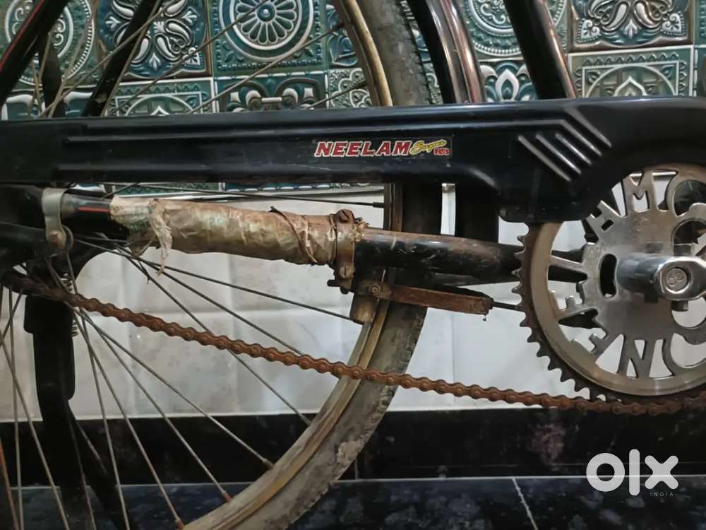 Neelam cycle
