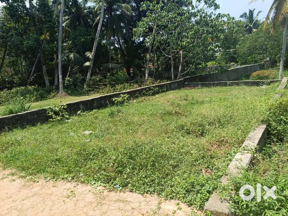 Lory site for sale