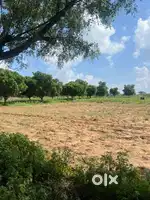 1155 Guz Ka farm house mehla Ajmer road ke pass main