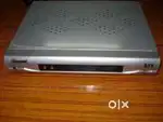 DD Free Dish Beetel