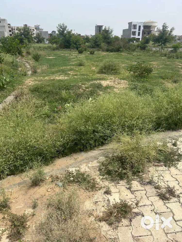 3 side open plot for sale in ram Ganga Nagar yojna