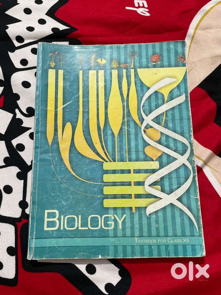 Ncert class 11 textbooks