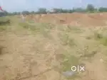 Jda rera approved