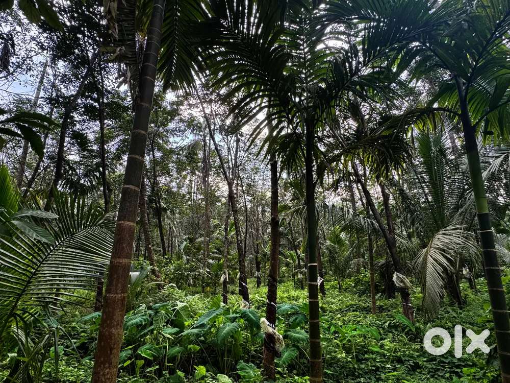 7.5 acers of land for cultivation and for farming