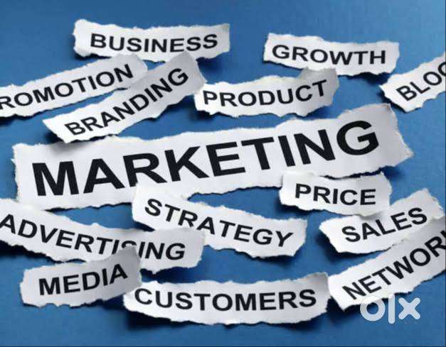 Need marketing person