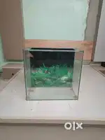 Fish tank for sell