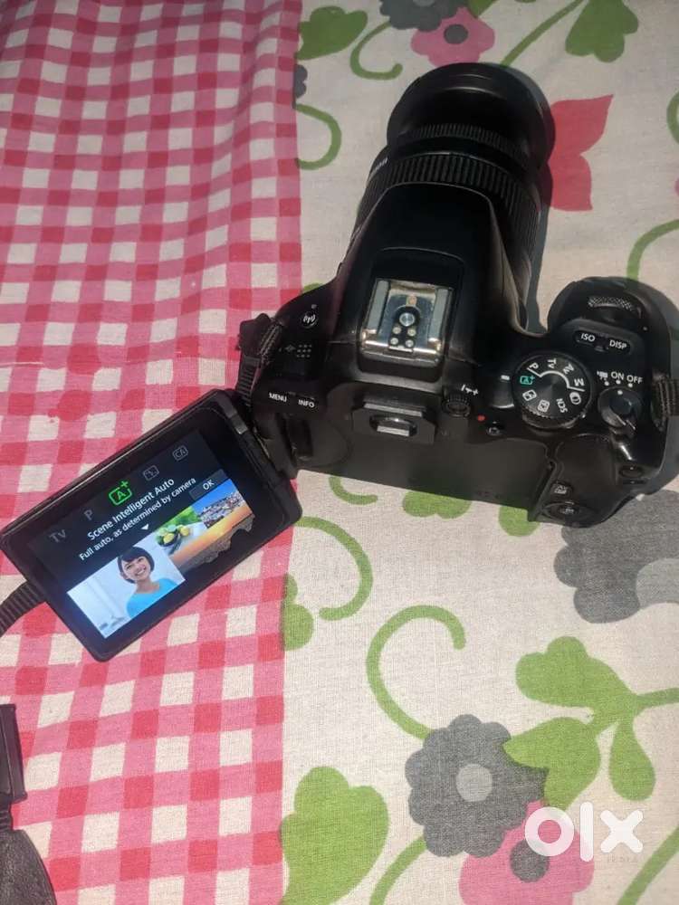 Canon 200d new 50mm prime , 18-55 lens, umbrella potra light