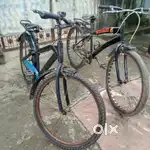 2 Hercules cycle 1 year old