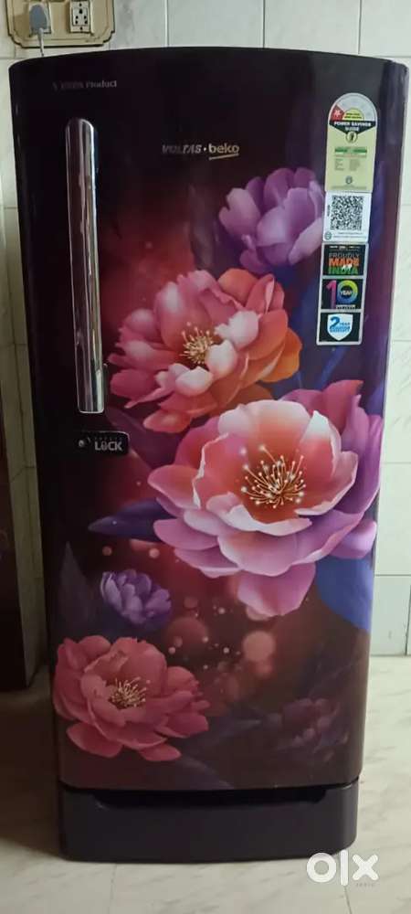 Voltage beko fridge