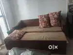 Sofa Cum Bed