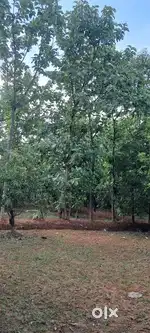 Land for sale