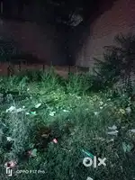 Land for shop and home