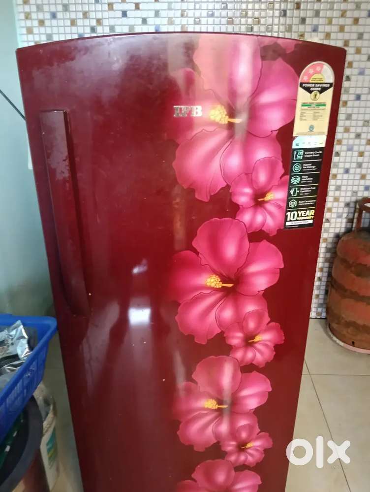 IFB fridge