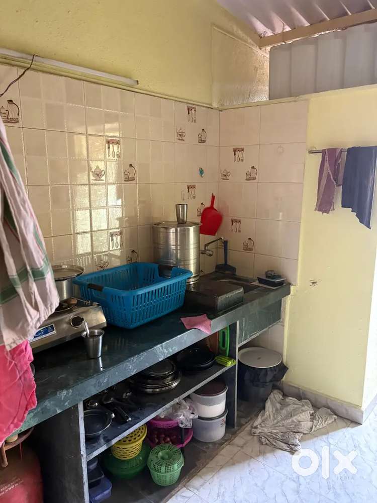 Need one female roomate