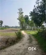 Kheti yogya zameen baikunthpur road rewa