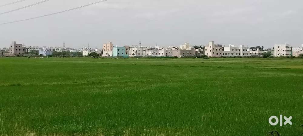 It's good Location and on Road area