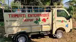 Tata ace gold