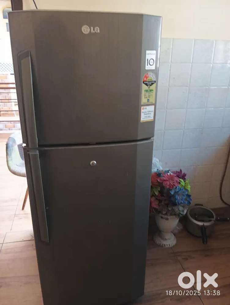 Double door refrigerator LG