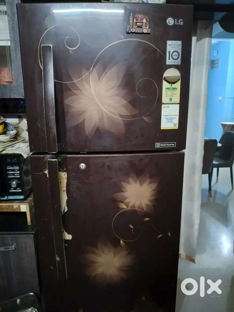 Double door LG fridge