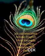 Sales for sites female (English Hindi Kannada Telugu)