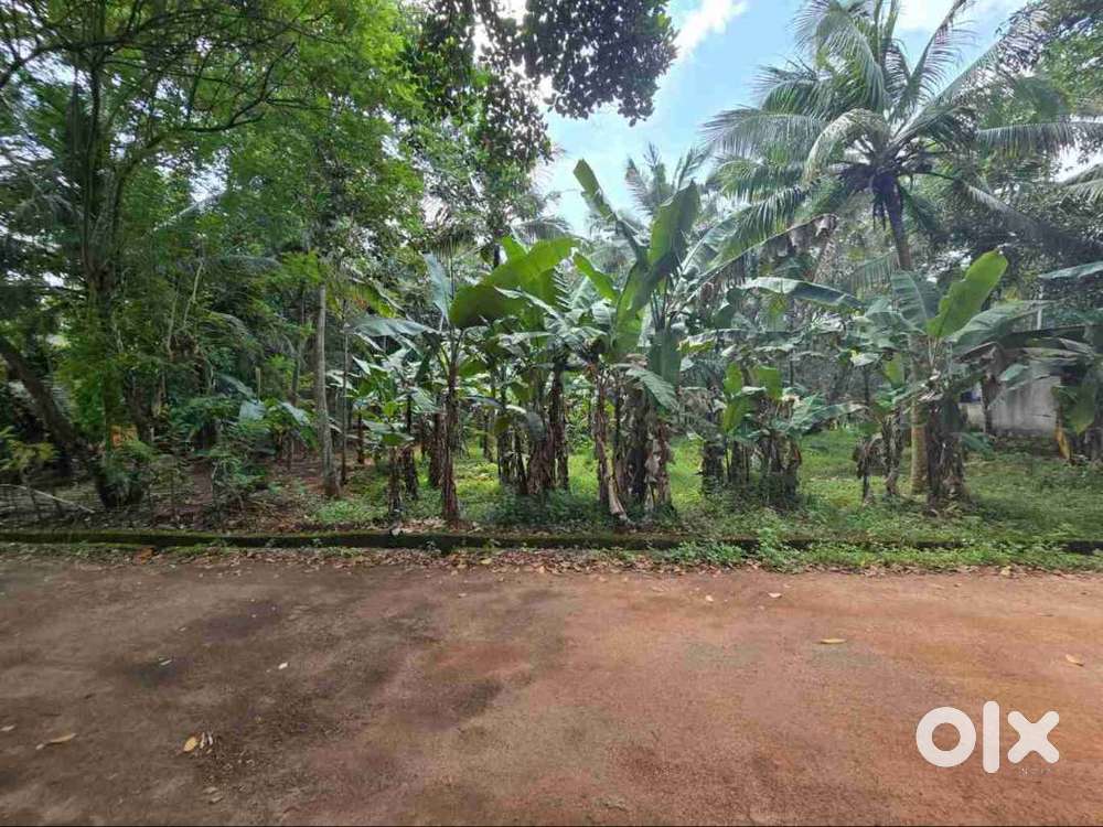 Residential Plot for Sale – Pulimath, Trivandrum