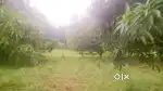 Prime Farmland for Sale in Kanakapura