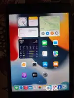 I pade mini 4 sim and wifi  32 gb