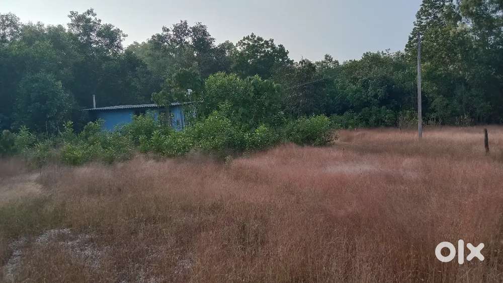 20 cents land and small house one year old,