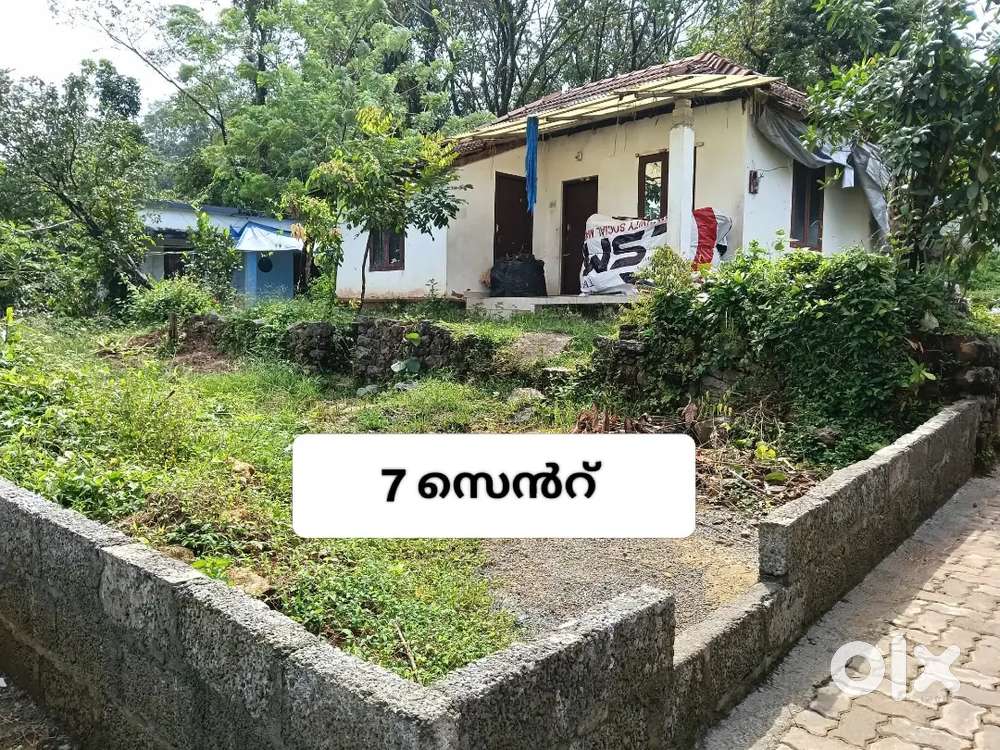 തൊടുപുഴ അടുത്ത് കുമ്പങ്കല്ലിൽ 7Centസ്ഥലവും ഓടിട്ട വീടും വില്പനയ്ക്ക്