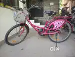 Bsa ladybird cycle