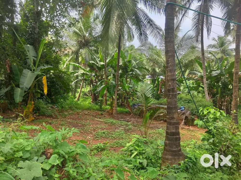 Plot For Sale @  Chelavoor Near National Highway