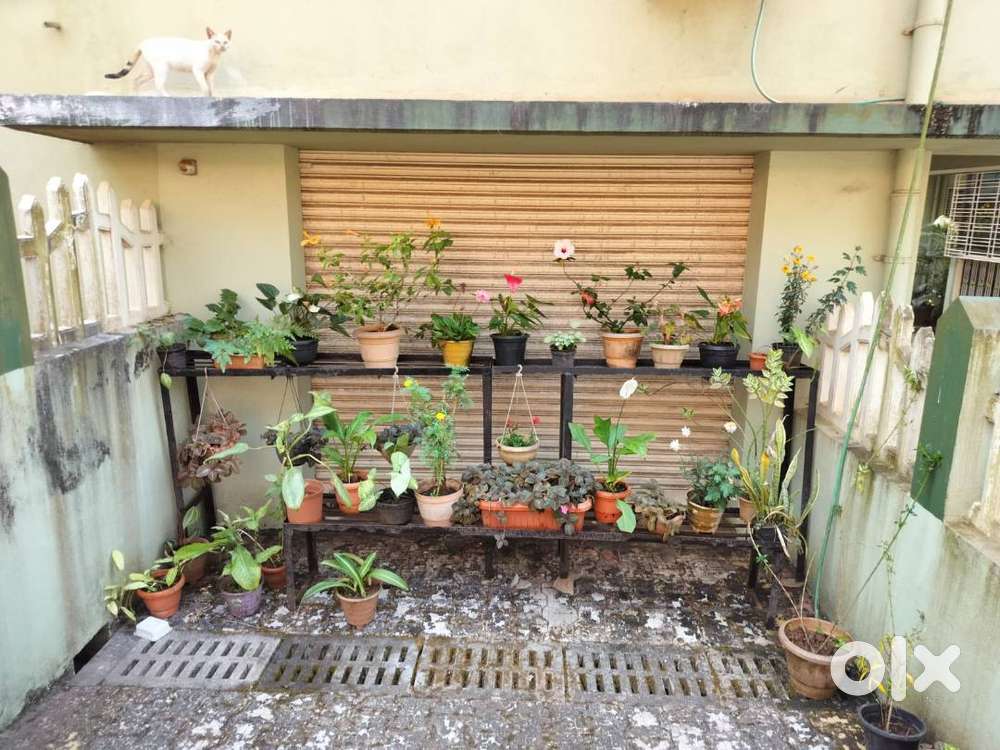 The shop is located in Ambegal ,very near to KTC bus stand Ponda.