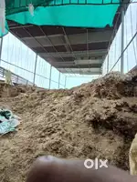 Dairy for rent
