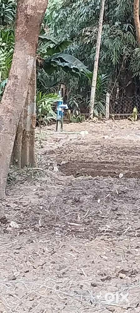 Samalabori land